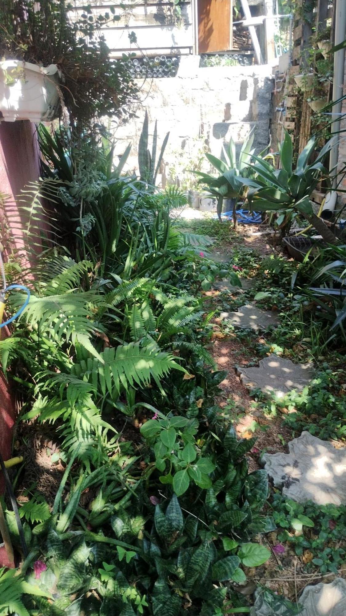 Florianópolis Casa Na Ilha Da Magia 빌라 외부 사진